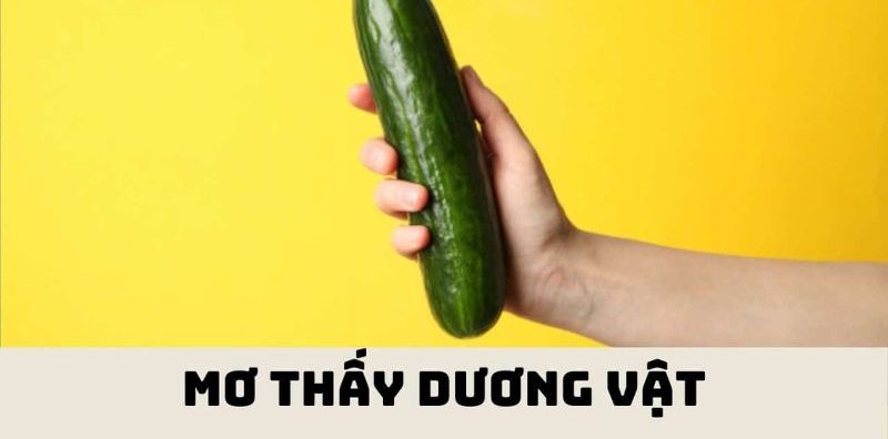 Giải mã giấc mơ | Mơ thấy dương vật đánh con gì? 