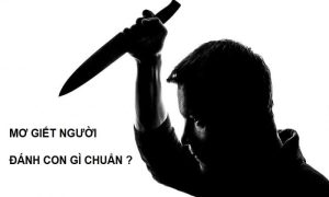 Giải mã giấc mơ | nằm mơ thấy mình giết người đánh con gì? 